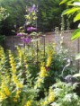 /album/photo-gallery-hook-open-gardens-2013/chysauster-hog-2013-2-small-jpg1/